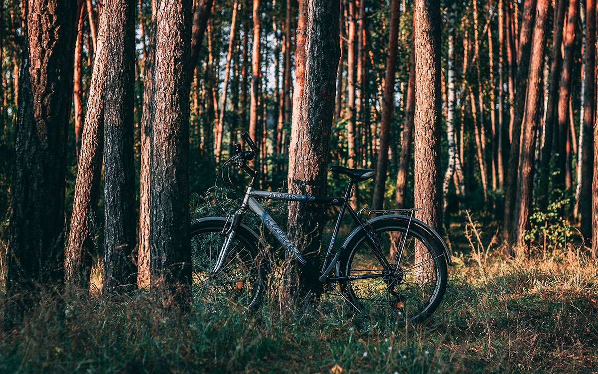 Fahrradtouren-MichailSapiton